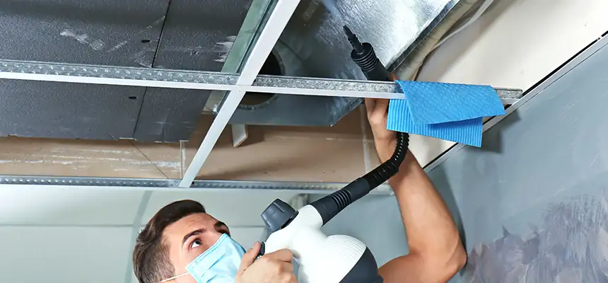 Our Air Duct Rodent Removal Services in Searcy, AR