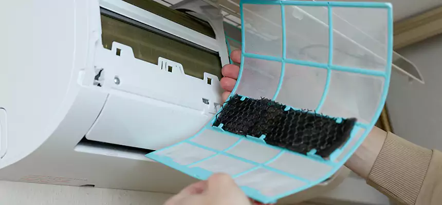 Gentle Ductwork Odor-Control Pet Dander Duct Cleaning in Searcy, AR