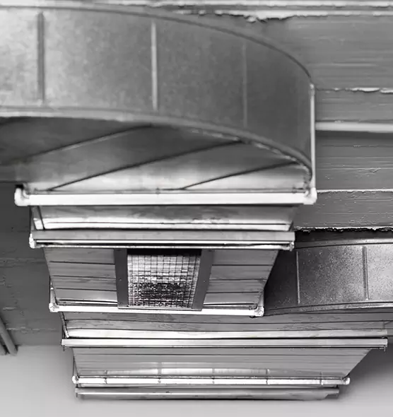 Professional Air Duct Pest Removal in Searcy, AR