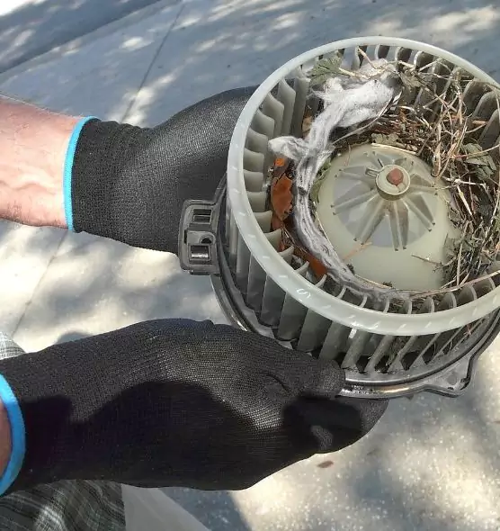 About Air Duct Rat Removal in Searcy, AR