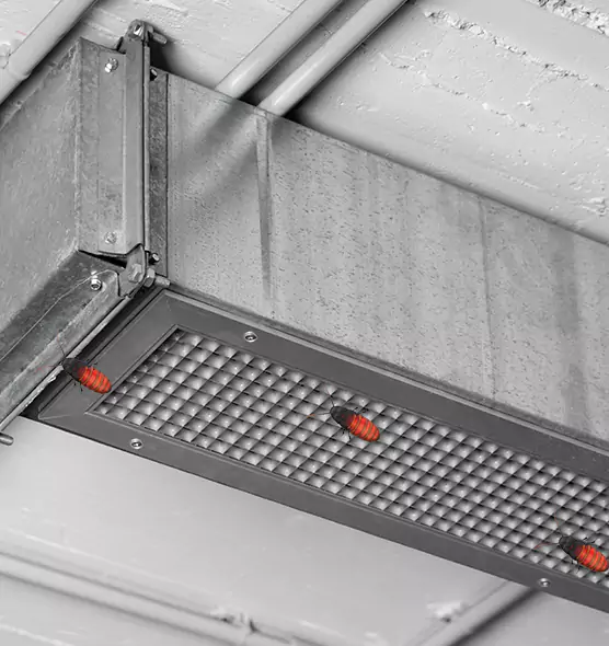 Affordable Insect Removal from Air Ducts in Searcy, AR